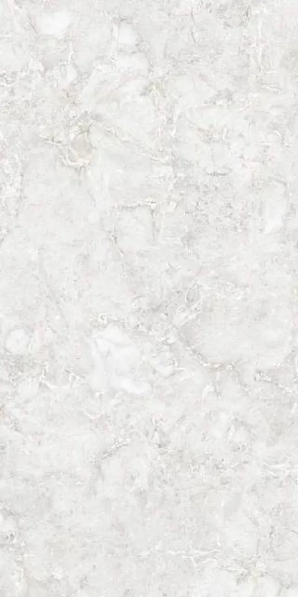 Glossy Finish EBANA-BIANCO GVT 600x1200mm